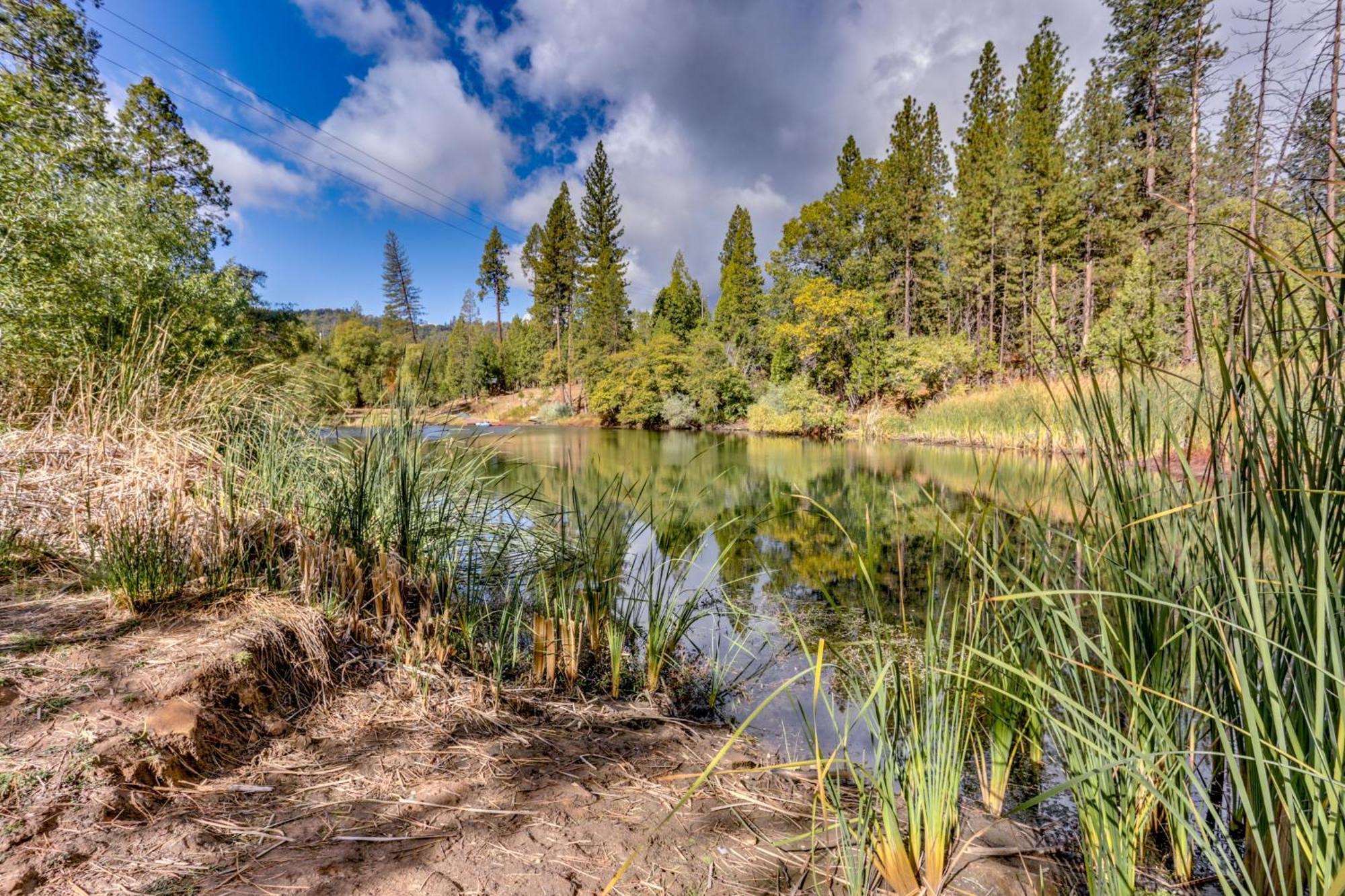 Pet-Friendly Escape With Game Room And Fire Pit! North Fork Exteriör bild